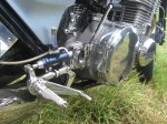Warstein 2012