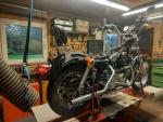 Harley