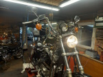 Harley
